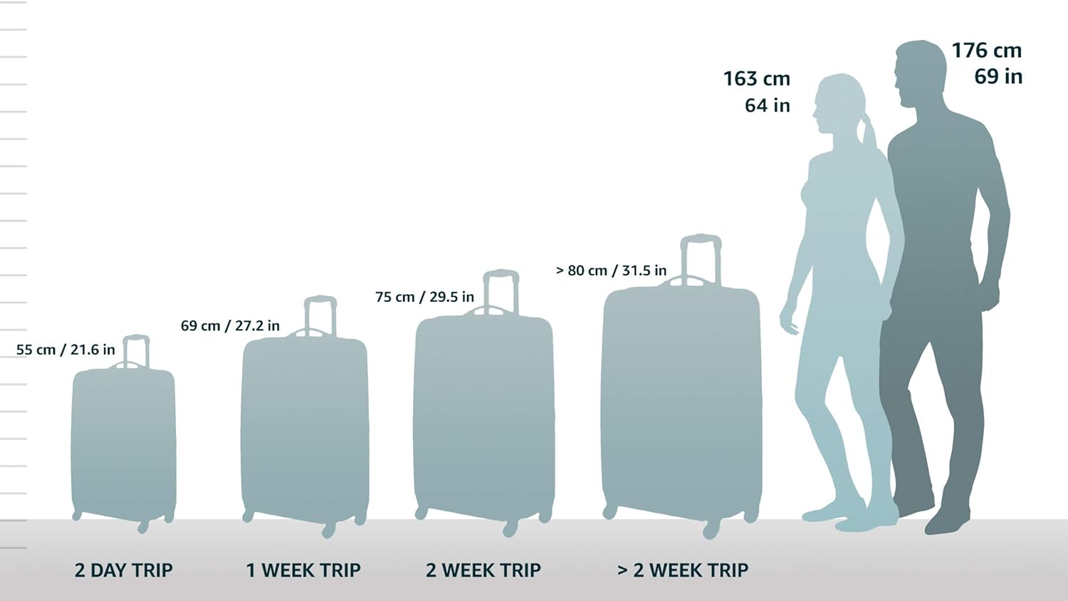 Hardside Expandable Luggage with Spinner Wheels, Bronze, Carry-On 20"